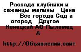 Рассада клубники и саженцы малины › Цена ­ 10 - Все города Сад и огород » Другое   . Ненецкий АО,Пылемец д.